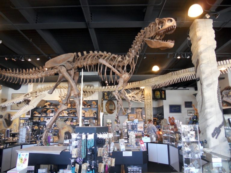 dinosaur store museum